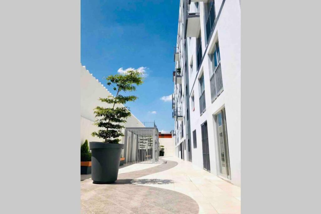 Departamento *Mundo Viajero* Guadalajara 아파트 외부 사진